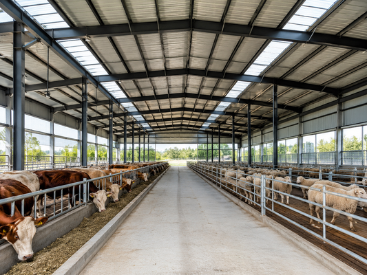 Carga Viva de Telhado 035kn M2 Armazém de Estrutura Leve de Aço Edifício de Armazenamento de Aço Durável e Solução para Necessidades de Armazenamento Industrial